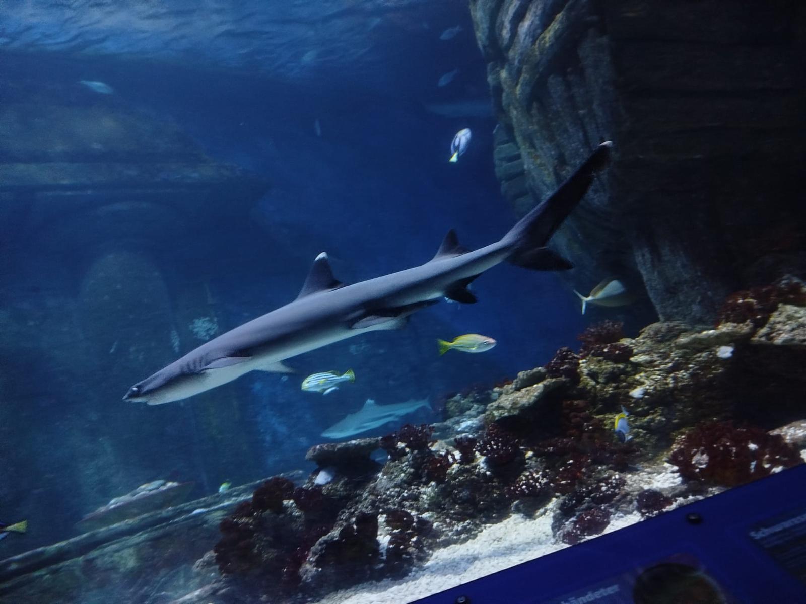 30c5ce49-a219-47f4-86e7-3f4a041bd088