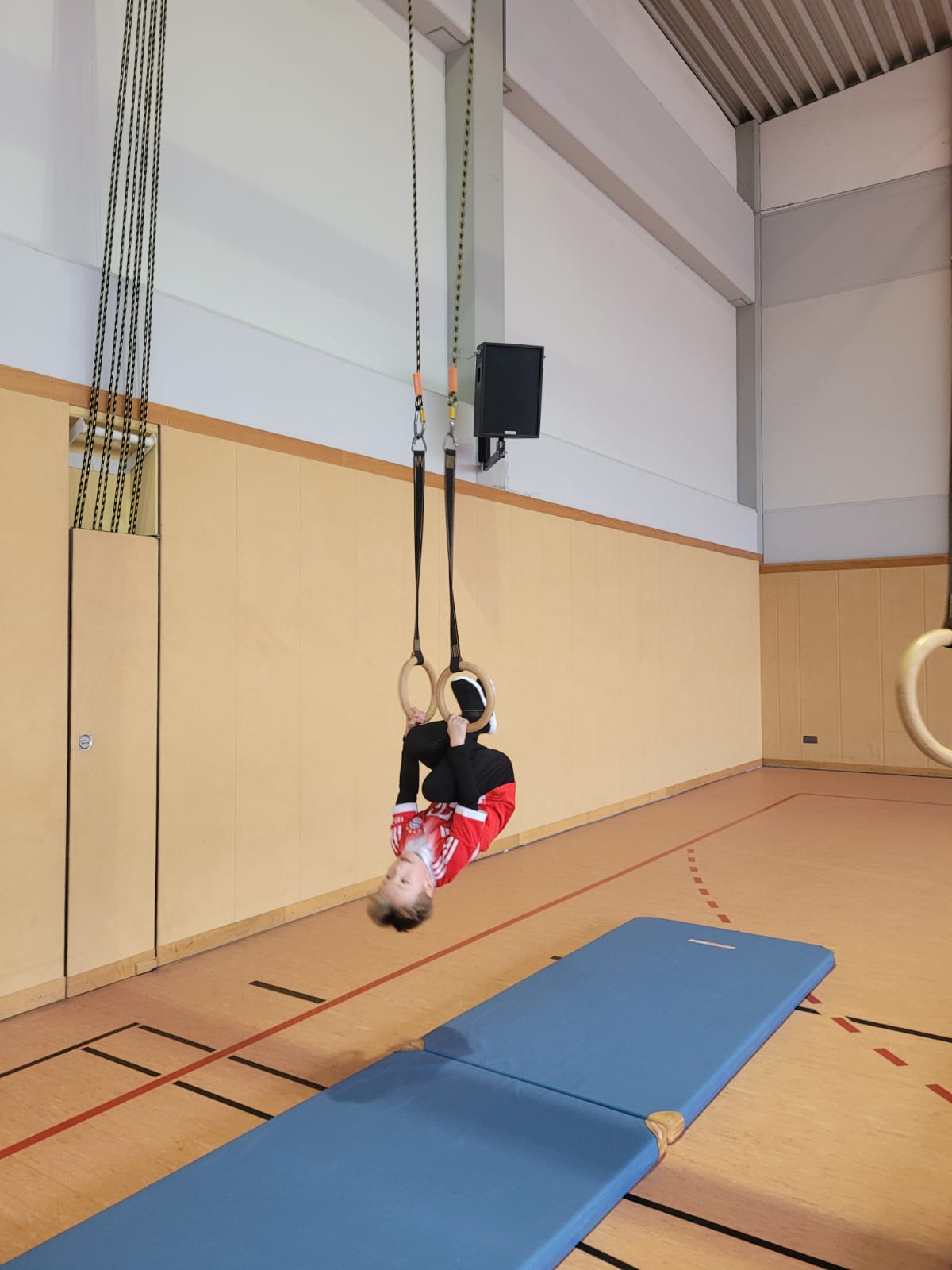 WhatsApp Image 2026-02-12 at 17.32.43 (3)