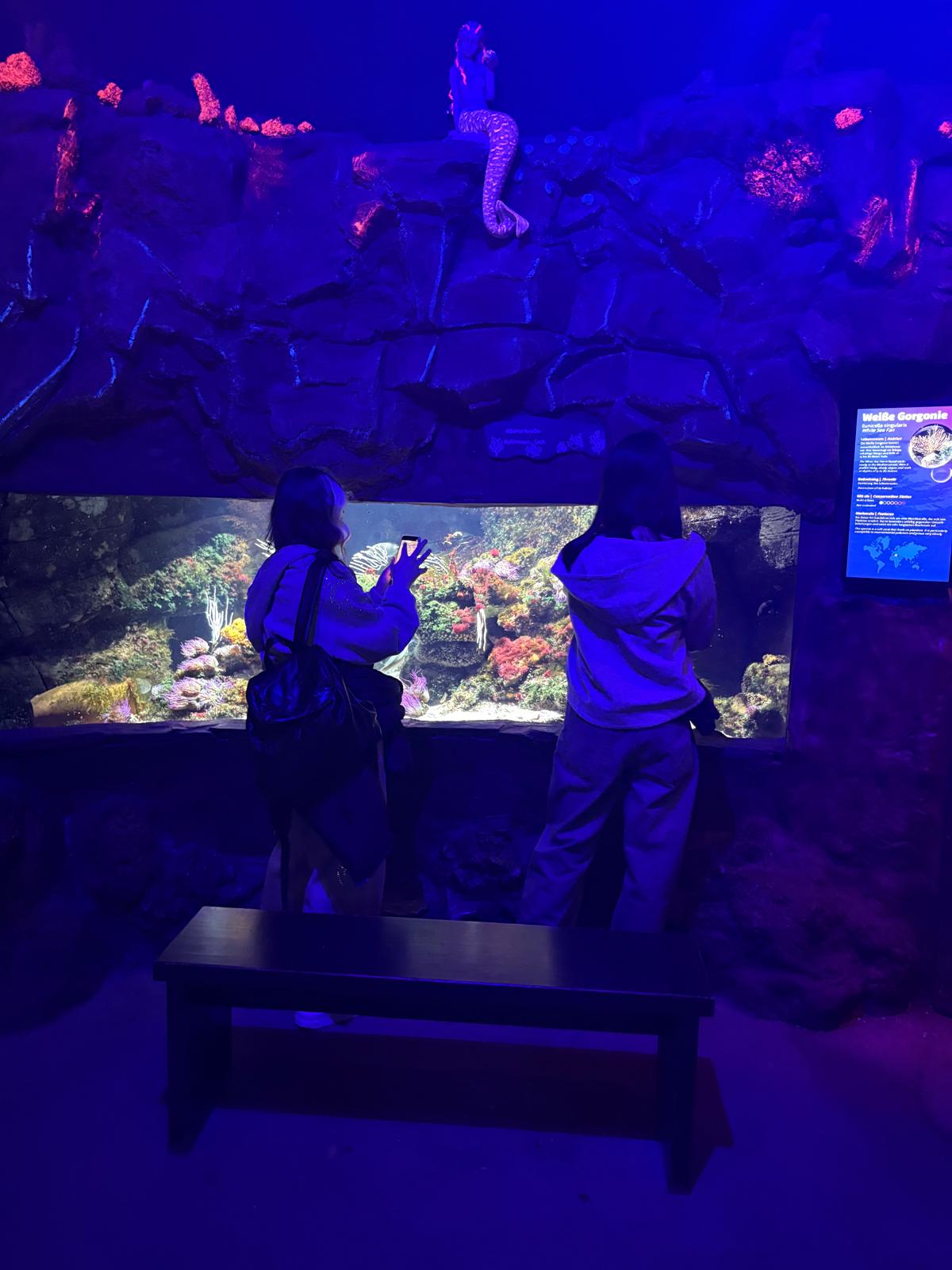 aa0ffcd8-0cb7-41d5-8b3c-446426a4940f