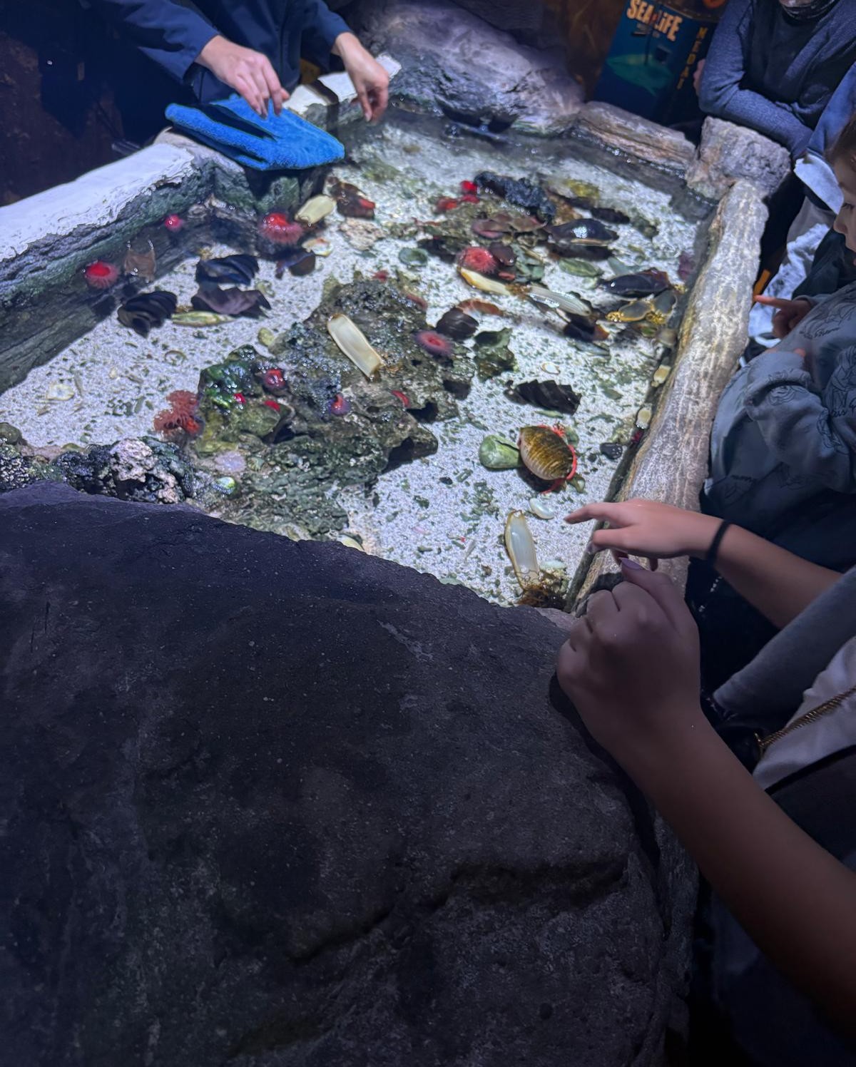 ac7cd2d4-ca49-473d-82db-030e2b41c91b